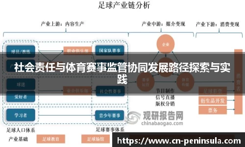 社会责任与体育赛事监管协同发展路径探索与实践